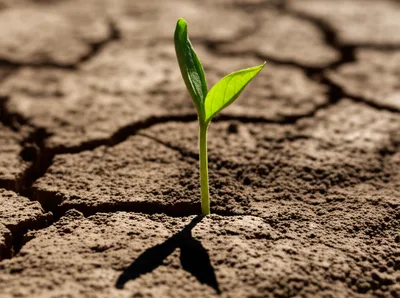 Illustration susceptible - Image 1