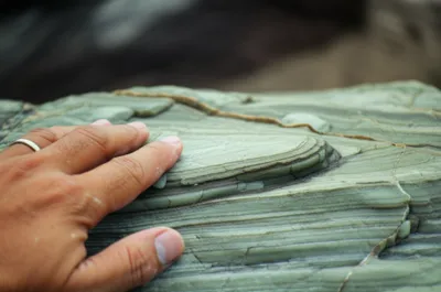 Illustration talc - Image 1