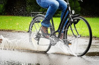 Illustration fenders - Image 1