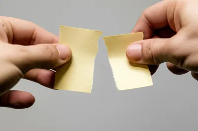 Hình ảnh minh họa rip - Ảnh 1