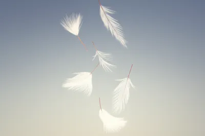 Illustration snowflake - Image 1