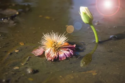 Illustration demeaning - Image 1