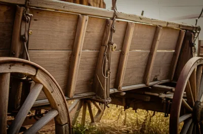 Illustration raves - Image 1