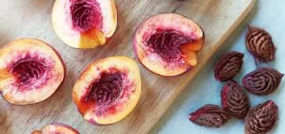 Illustration stone - Image 2