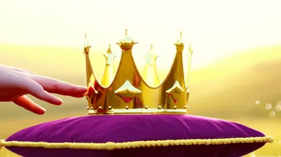 Illustration disclaim - Image 1