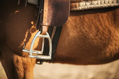 Illustration irons - Image 1