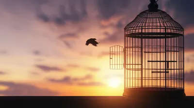 Illustration let - Image 1