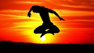 Illustration tigers - Image 1