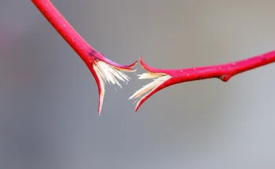 Illustration snapping - Image 1