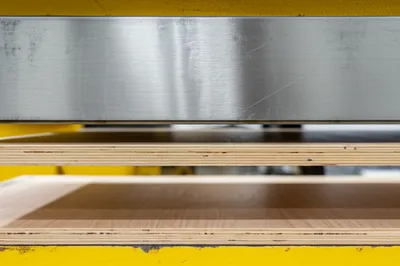 Illustration caul - Image 1