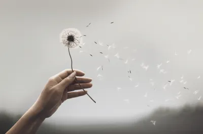 Illustration wimp - Image 1