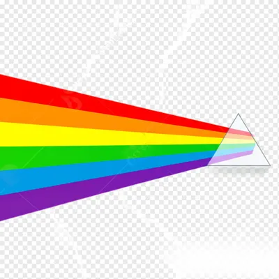 Illustration force - Image 1