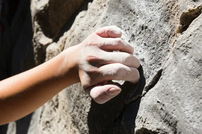 Illustration bites - Image 1