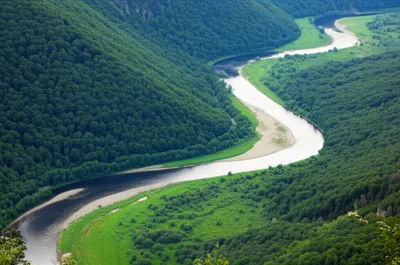 Illustration paralleling - Image 1