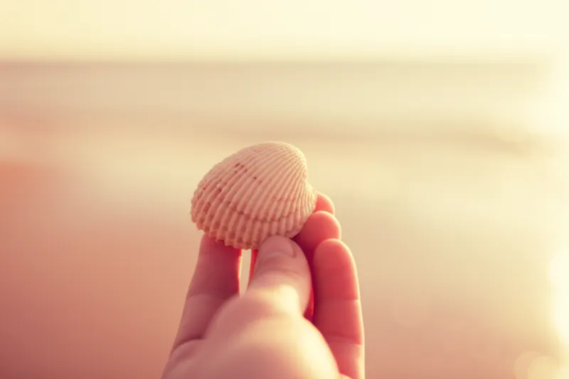 Illustration visuelle du mot « souvenirs » - Souvenir, objet-souvenir