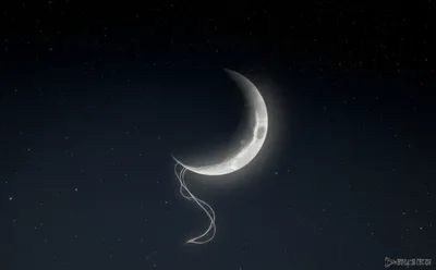 Illustration slither - Image 1