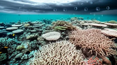 Illustration acidification