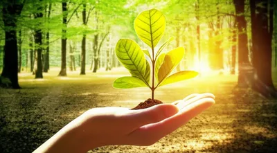 Illustration whit - Image 1