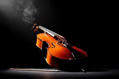 Illustration closes - Image 1