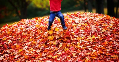 Illustration accumulation - Image 1