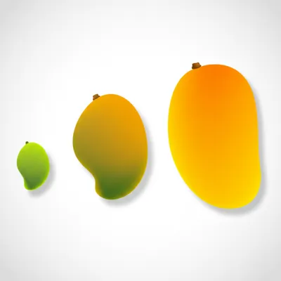 Illustration ripe - Image 1