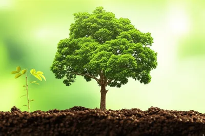 Illustration built - Image 1