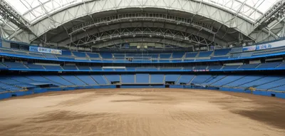 Illustration bare - Image 1