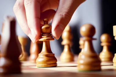 Illustration draught - Image 1