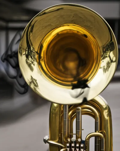 Illustration growling - Image 1