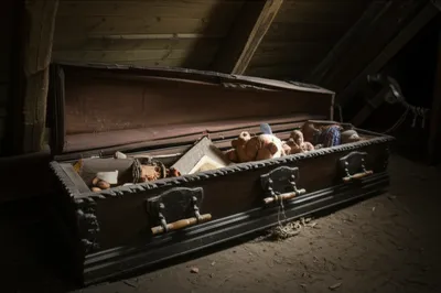 Illustration chest - Image 1