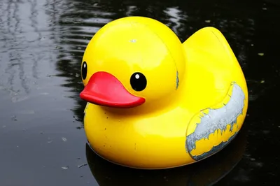 Illustration phony - Image 1