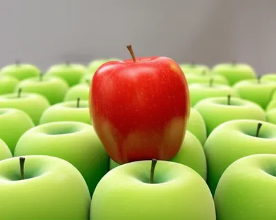 Illustration conspicuously