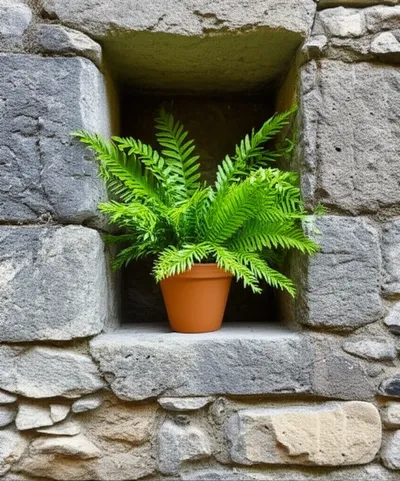 Illustration niche - Image 1