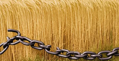 Illustration anarchism - Image 1