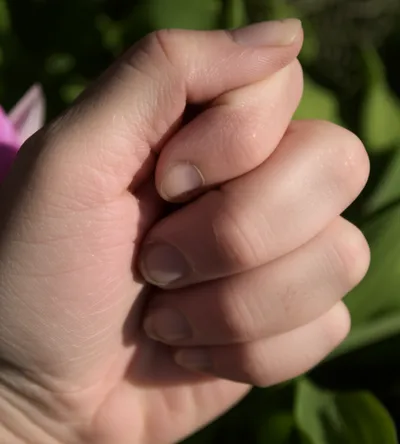 Illustration stifle - Image 1