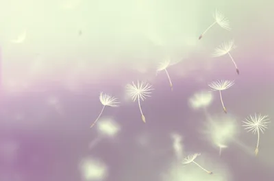 Illustration drifts - Image 1