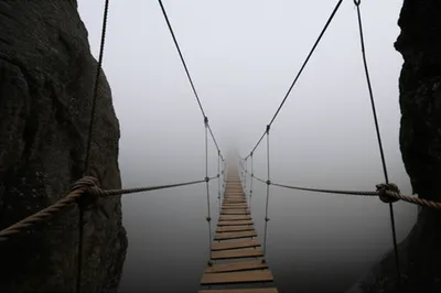 Illustration taut - Image 1