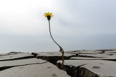 Illustration victimisation - Image 1