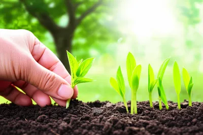 Illustration greener - Image 1