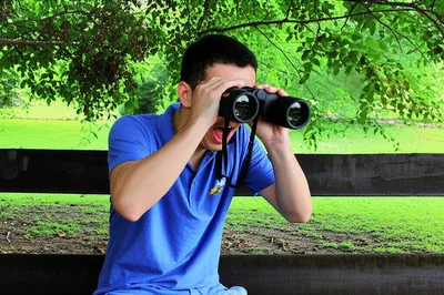 Illustration twitchers