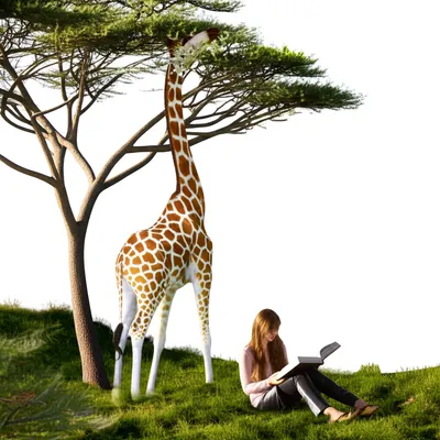 Illustration browsers