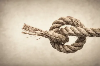 Illustration dispensable - Image 1