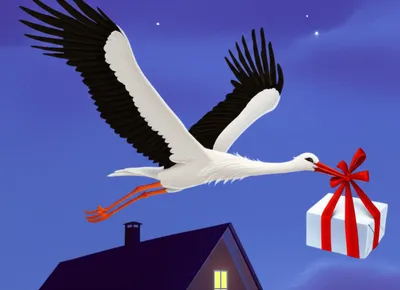 Illustration delivers - Image 1