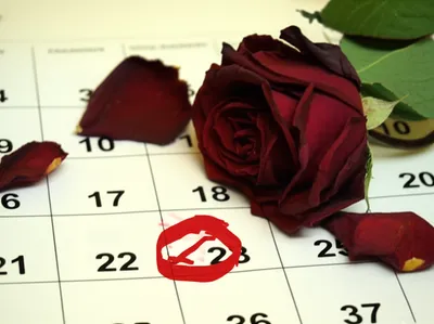 Illustration expires - Image 1