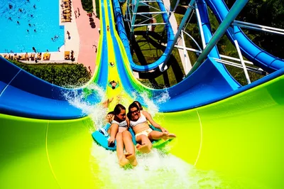 Illustration piped - Image 1