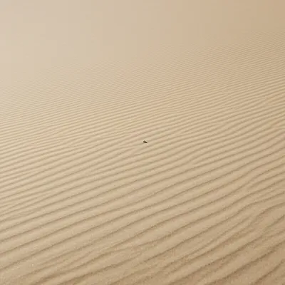 Illustration minions - Image 1