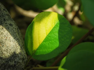 Illustration modifications - Image 1