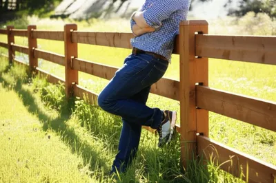 Illustration backing - Image 1