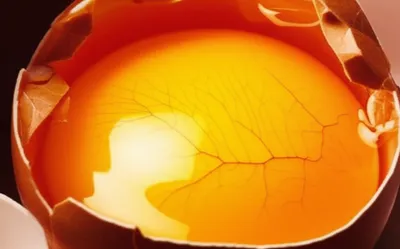 Illustration str - Image 1