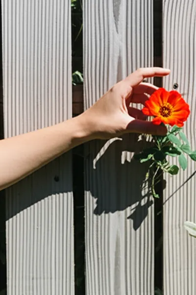 Illustration infringe - Image 1